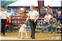 LCFAIR14-1308 - Copy.jpg