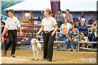 LCFAIR14-1309 - Copy.jpg
