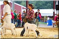 LCFAIR14-1311 - Copy.jpg