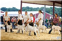 LCFAIR14-1313 - Copy.jpg