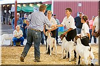 LCFAIR14-1317 - Copy.jpg