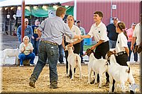 LCFAIR14-1318.jpg
