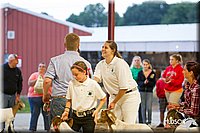 LCFAIR14-1321 - Copy.jpg