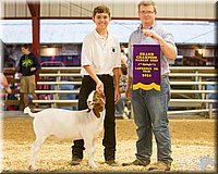 LCFAIR14-1322.jpg
