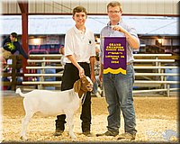 LCFAIR14-1323.jpg