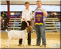 LCFAIR14-1324 - Copy.jpg