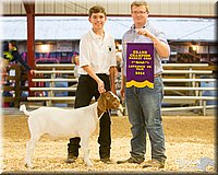 LCFAIR14-1325.jpg