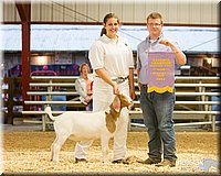 LCFAIR14-1328 - Copy.jpg