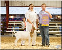LCFAIR14-1329 - Copy.jpg