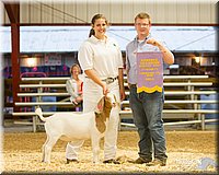 LCFAIR14-1330 - Copy.jpg