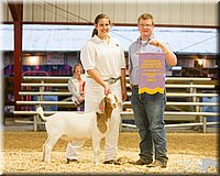 LCFAIR14-1331 - Copy.jpg