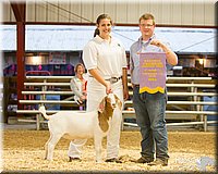 LCFAIR14-1332 - Copy.jpg