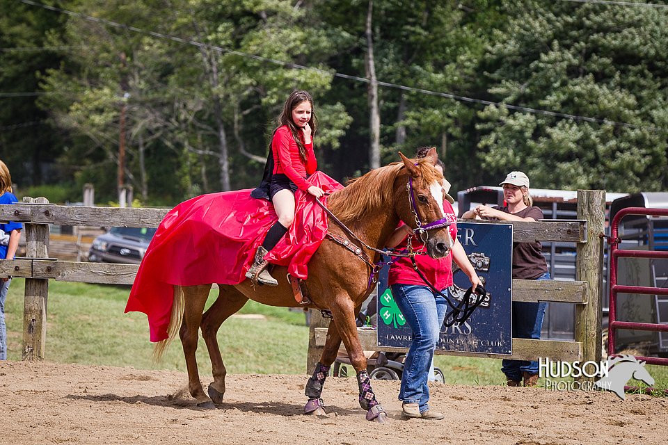 LCFAIR14-4867.jpg