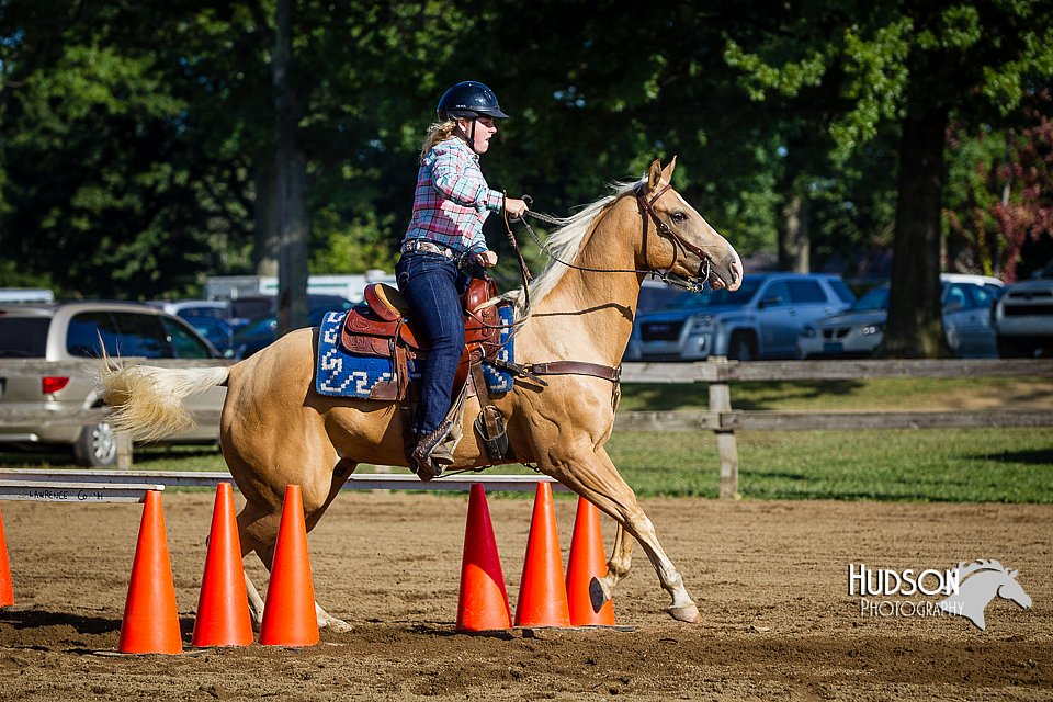 LCFAIR14-3832.jpg