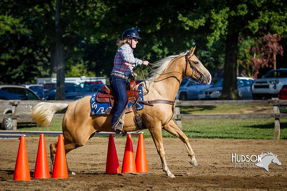 LCFAIR14-3833.jpg