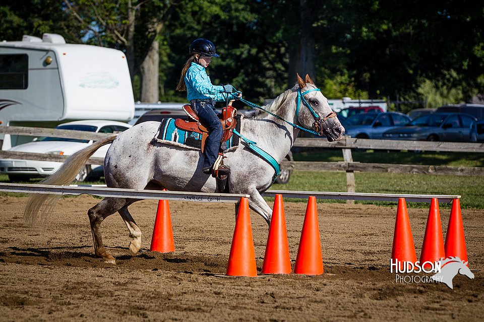 LCFAIR14-3845.jpg