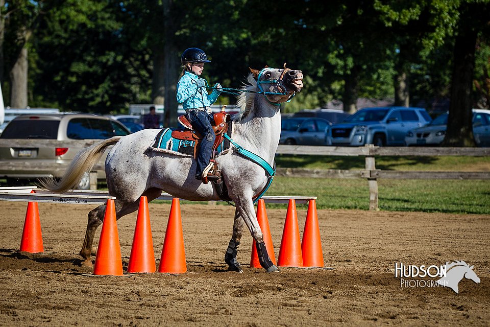 LCFAIR14-3847.jpg