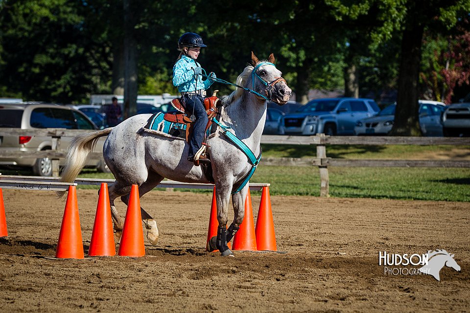 LCFAIR14-3848.jpg