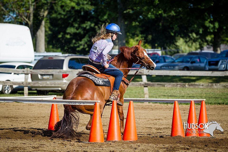 LCFAIR14-3867.jpg