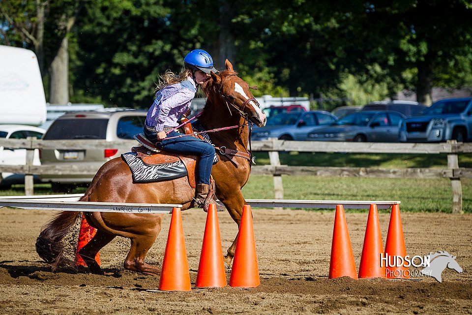 LCFAIR14-3869.jpg