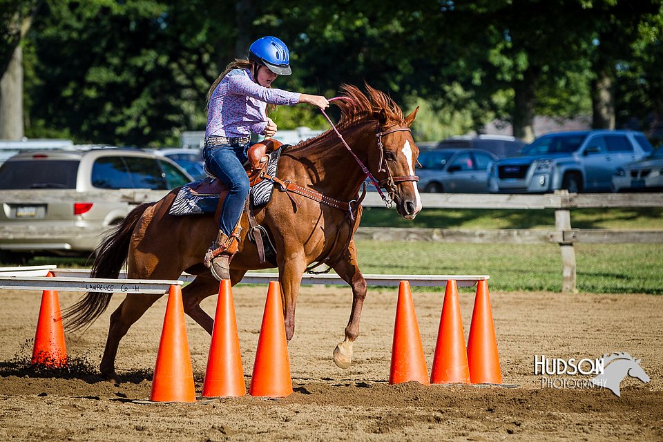 LCFAIR14-3873.jpg