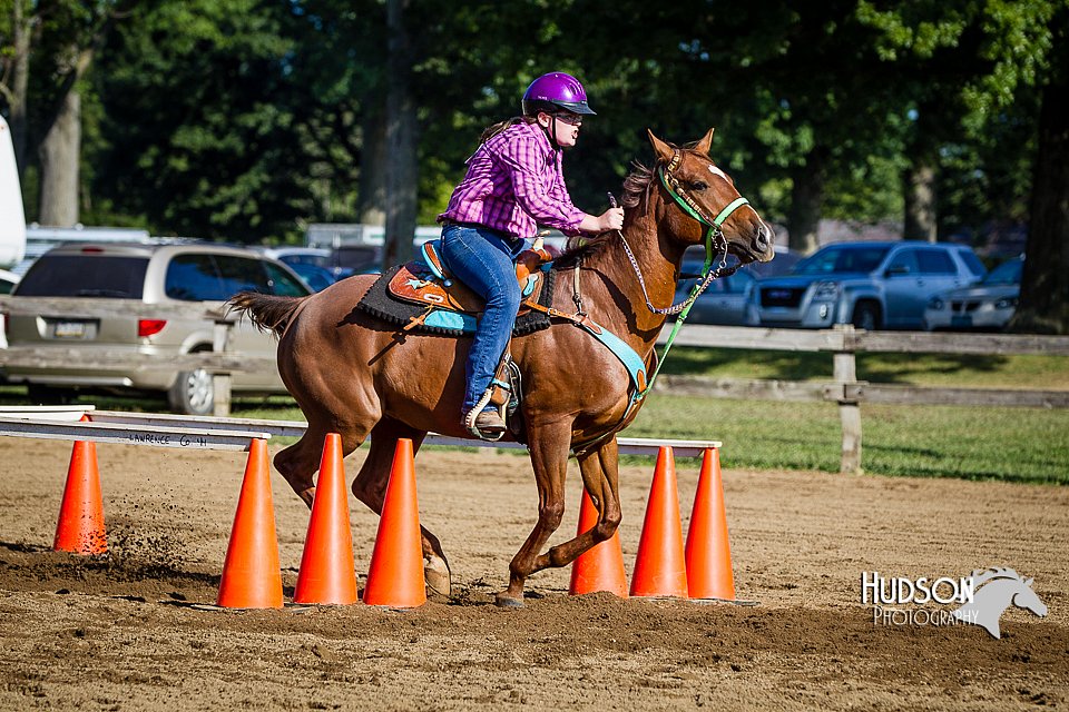LCFAIR14-3882.jpg
