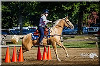 LCFAIR14-3833.jpg