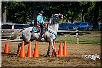 LCFAIR14-3847.jpg
