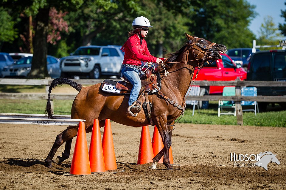 LCFAIR14-4001.jpg