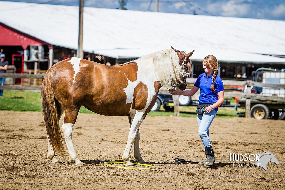 LCFAIR14-3027.jpg