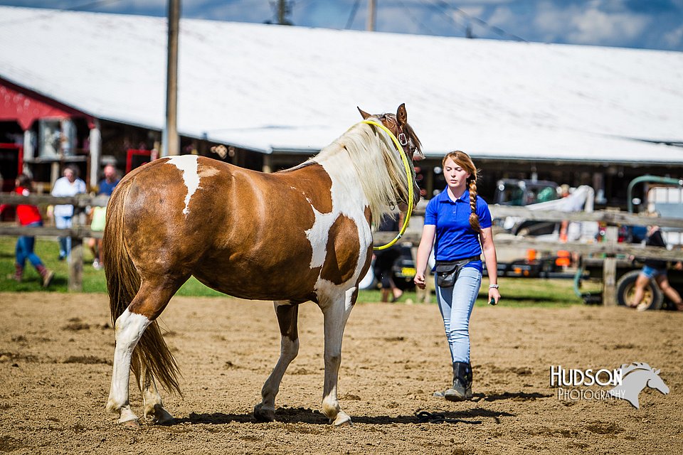LCFAIR14-3043.jpg