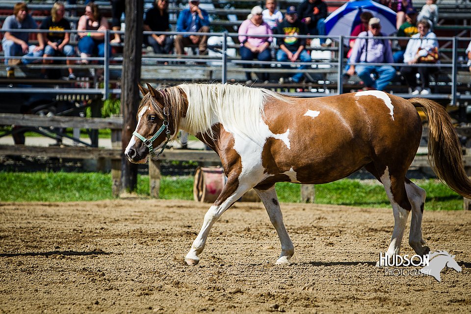 LCFAIR14-3049.jpg