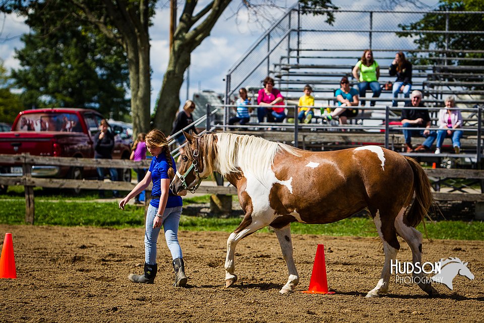 LCFAIR14-3060.jpg