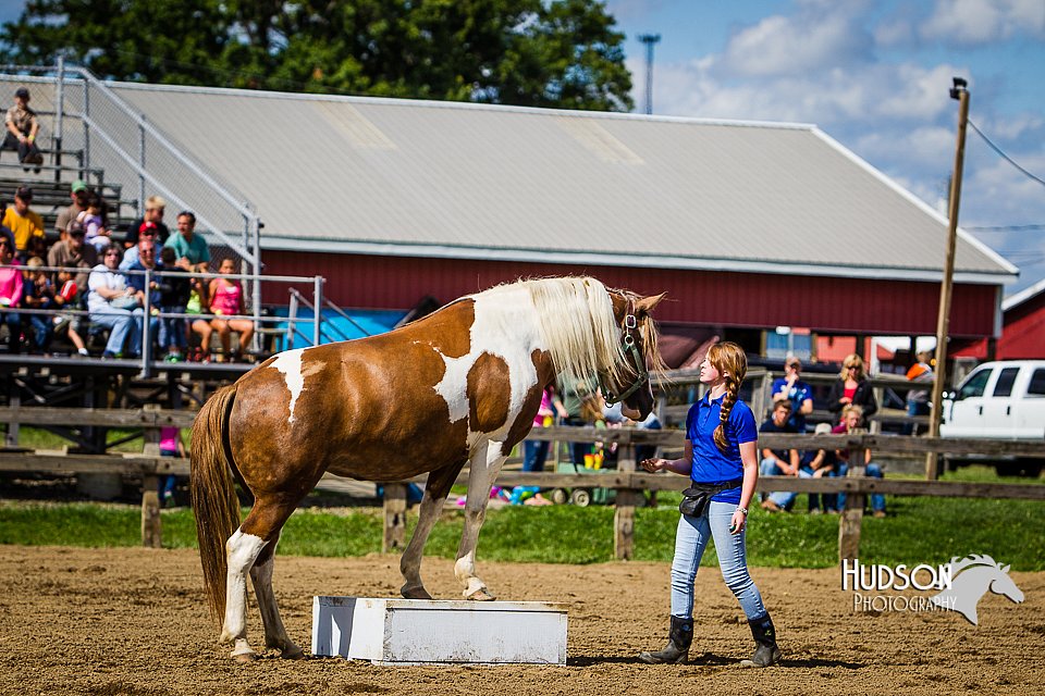 LCFAIR14-3083.jpg