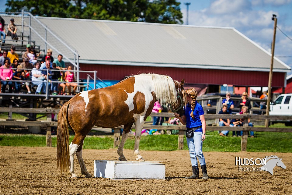 LCFAIR14-3095.jpg