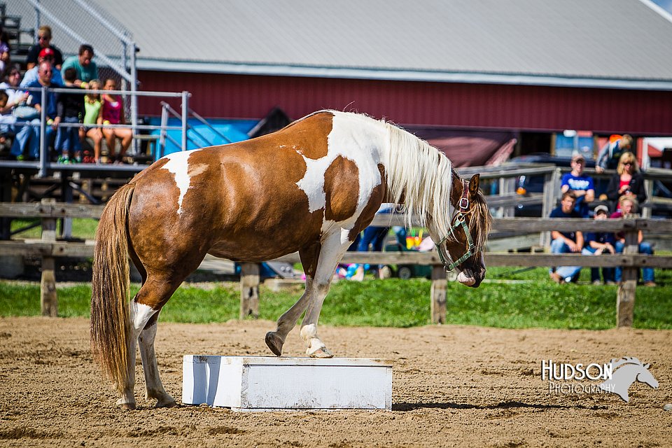LCFAIR14-3107.jpg