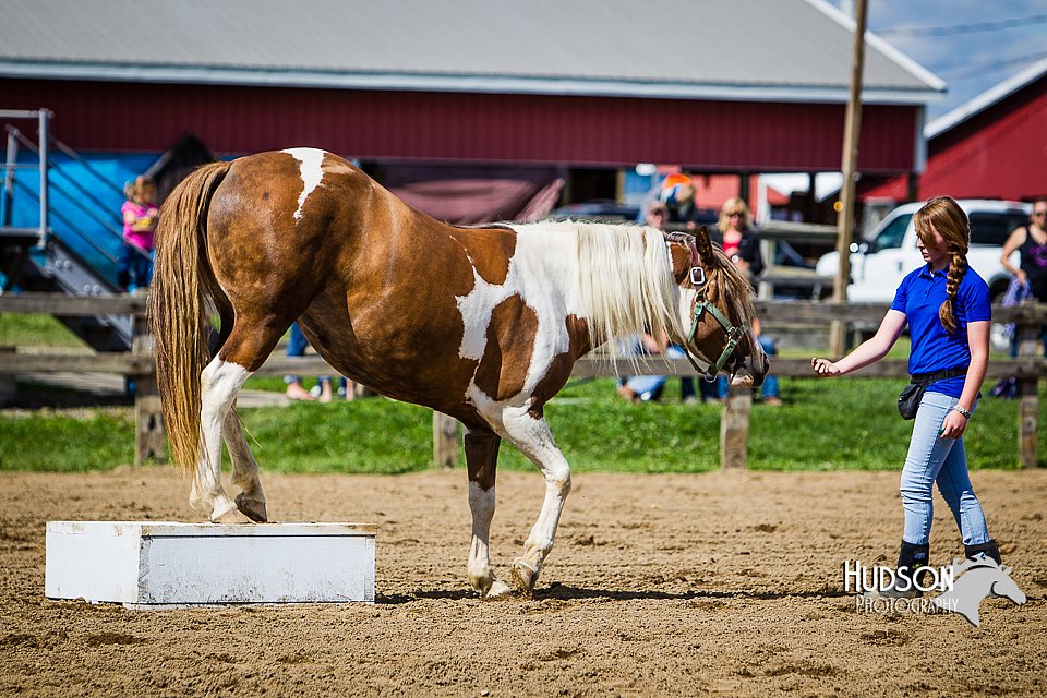 LCFAIR14-3112.jpg