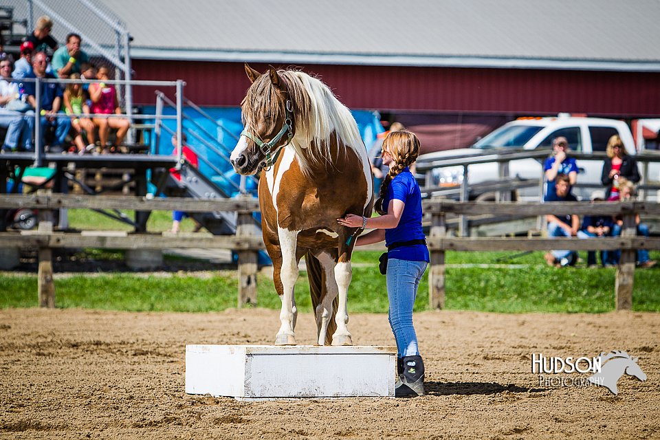 LCFAIR14-3148.jpg
