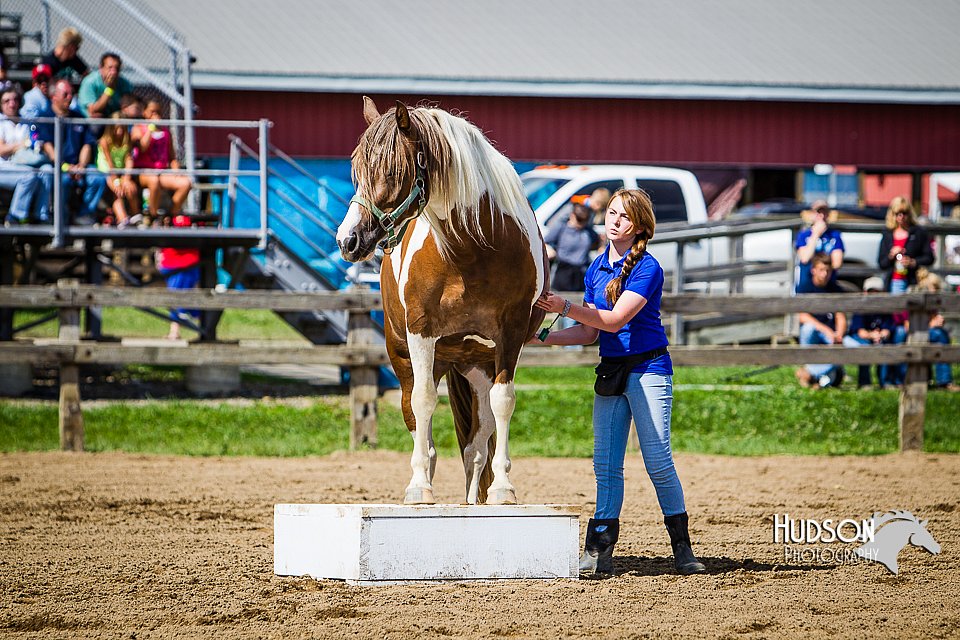 LCFAIR14-3149.jpg