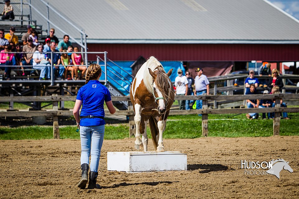 LCFAIR14-3153.jpg