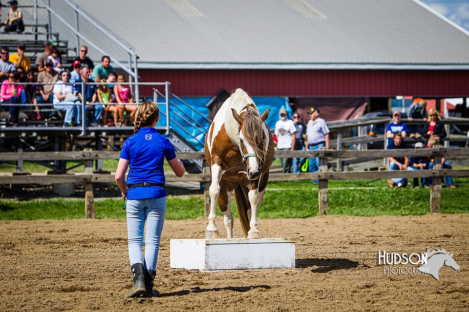 LCFAIR14-3154.jpg