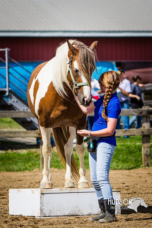 LCFAIR14-3155.jpg