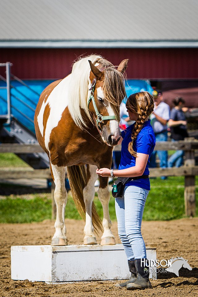 LCFAIR14-3156.jpg