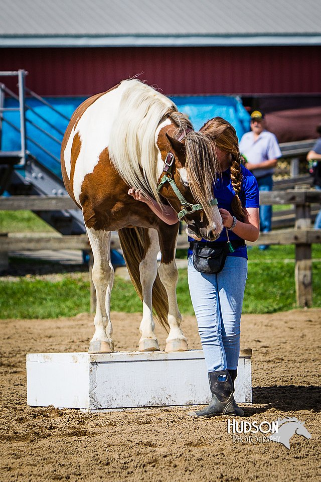 LCFAIR14-3157.jpg
