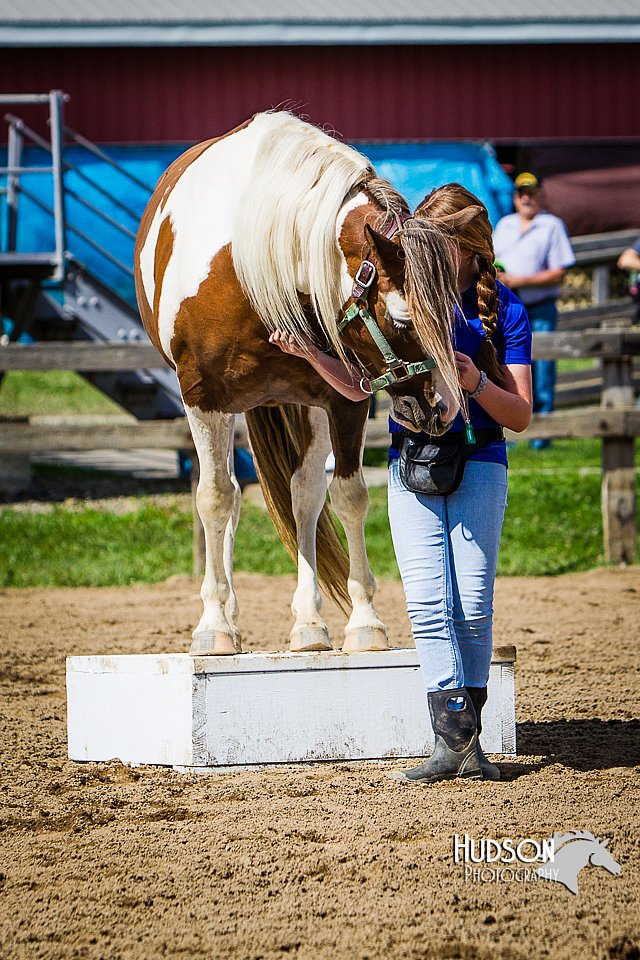 LCFAIR14-3158.jpg