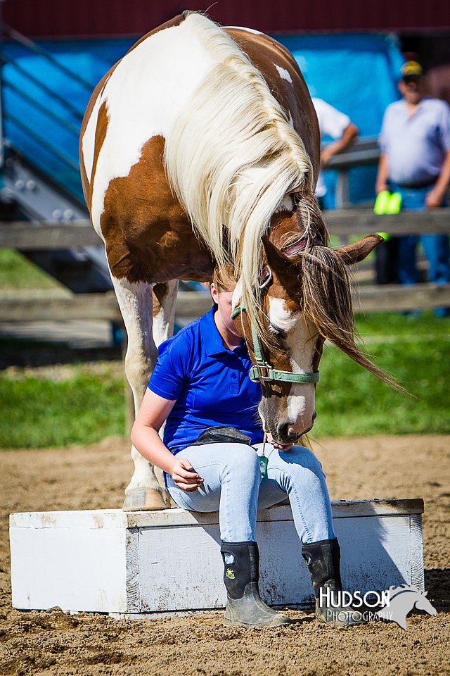 LCFAIR14-3161.jpg