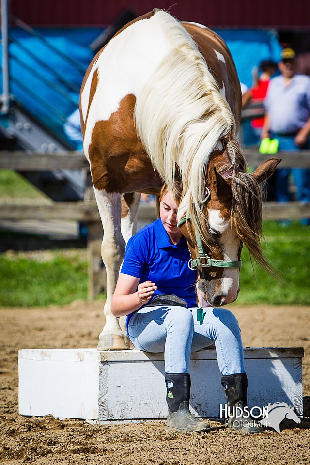 LCFAIR14-3163.jpg