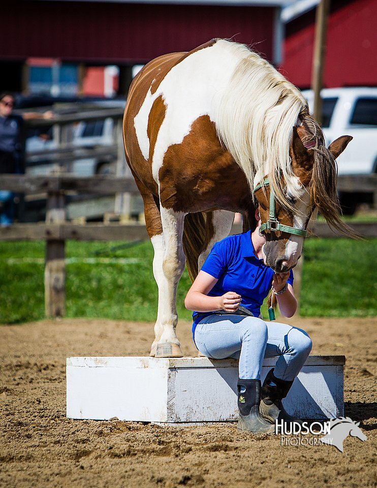 LCFAIR14-3169.jpg