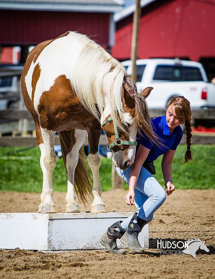 LCFAIR14-3170.jpg