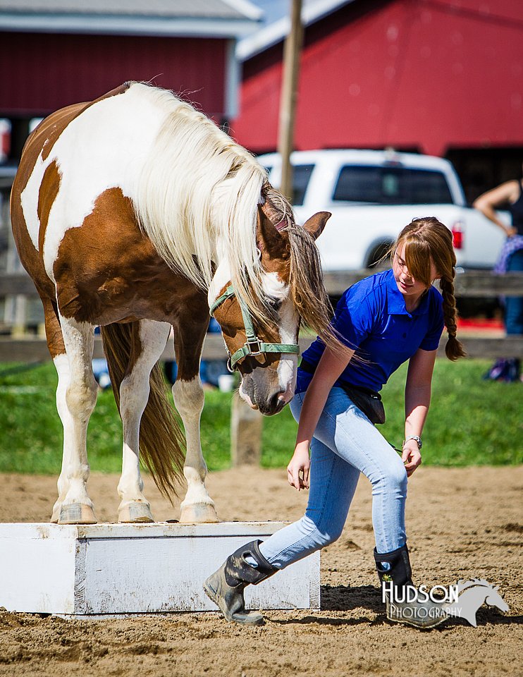 LCFAIR14-3171.jpg